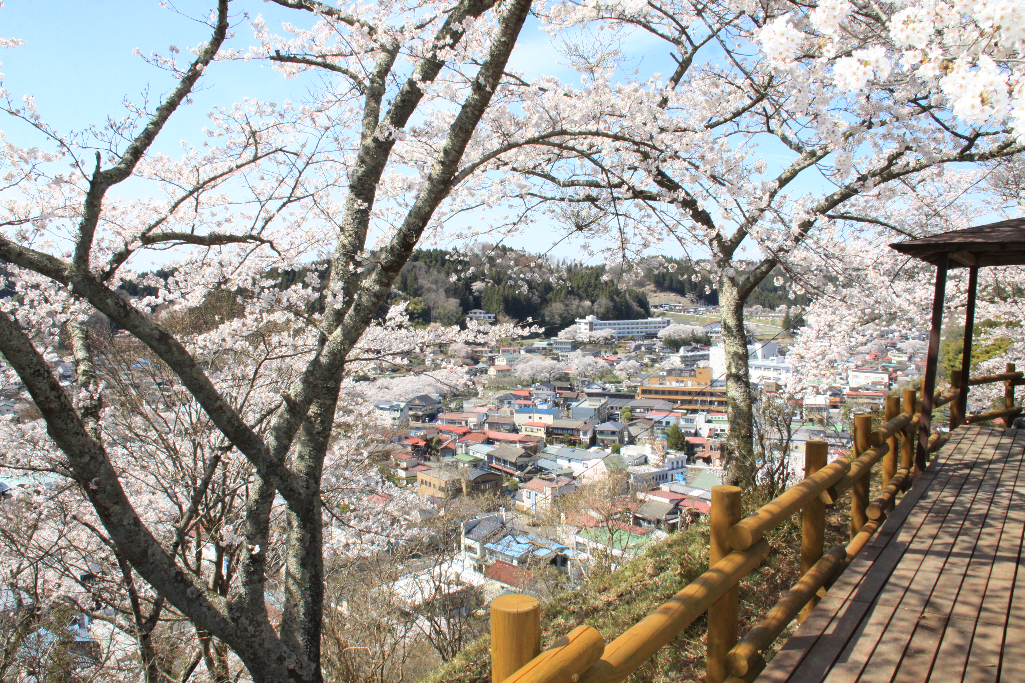 石尊山公園からの眺め